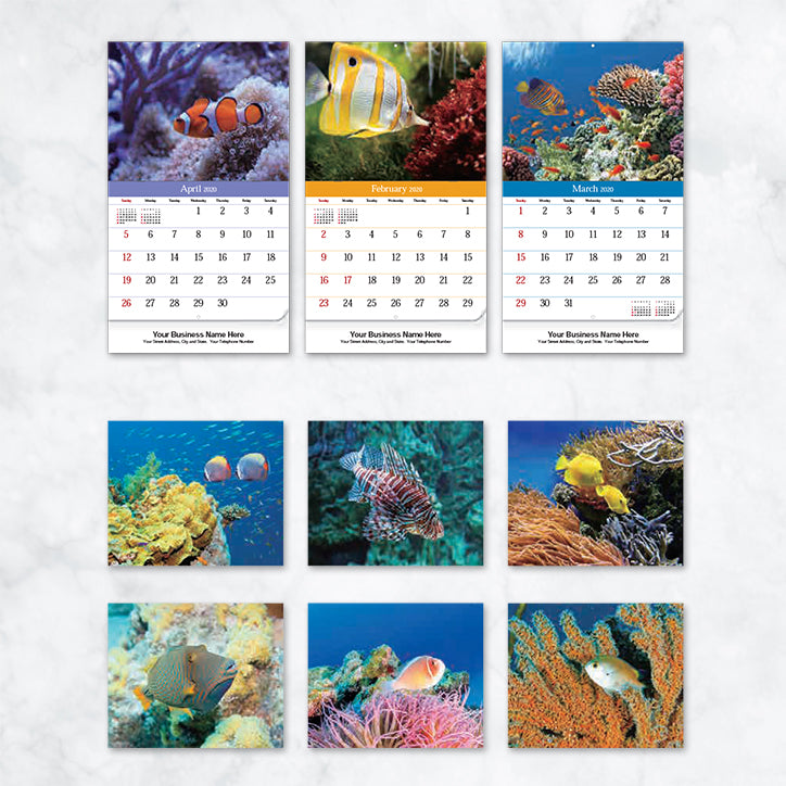 Promotional Wall Calendar 2020 Sea Life